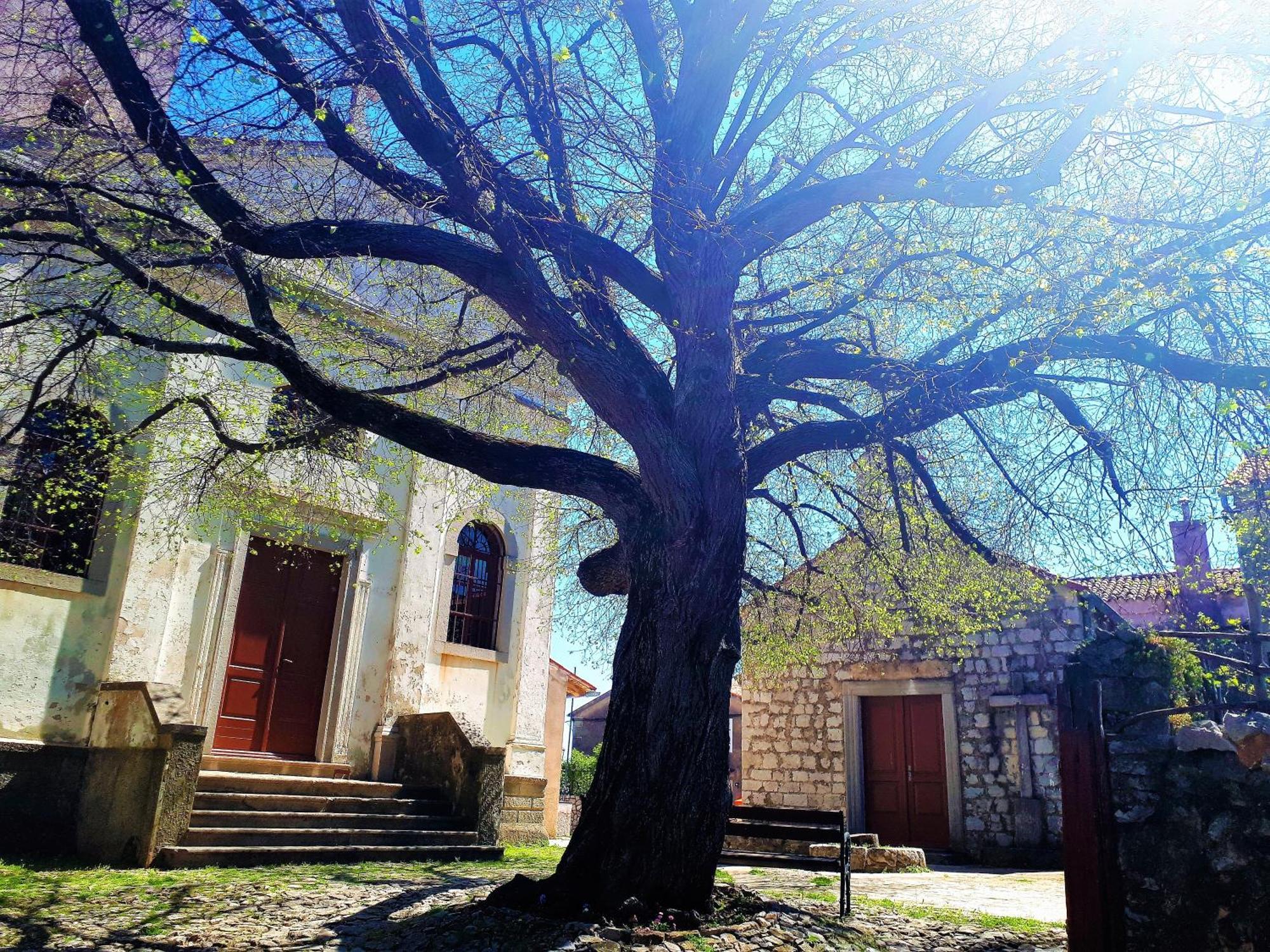 Pansion Tramontana Otel Beli Dış mekan fotoğraf