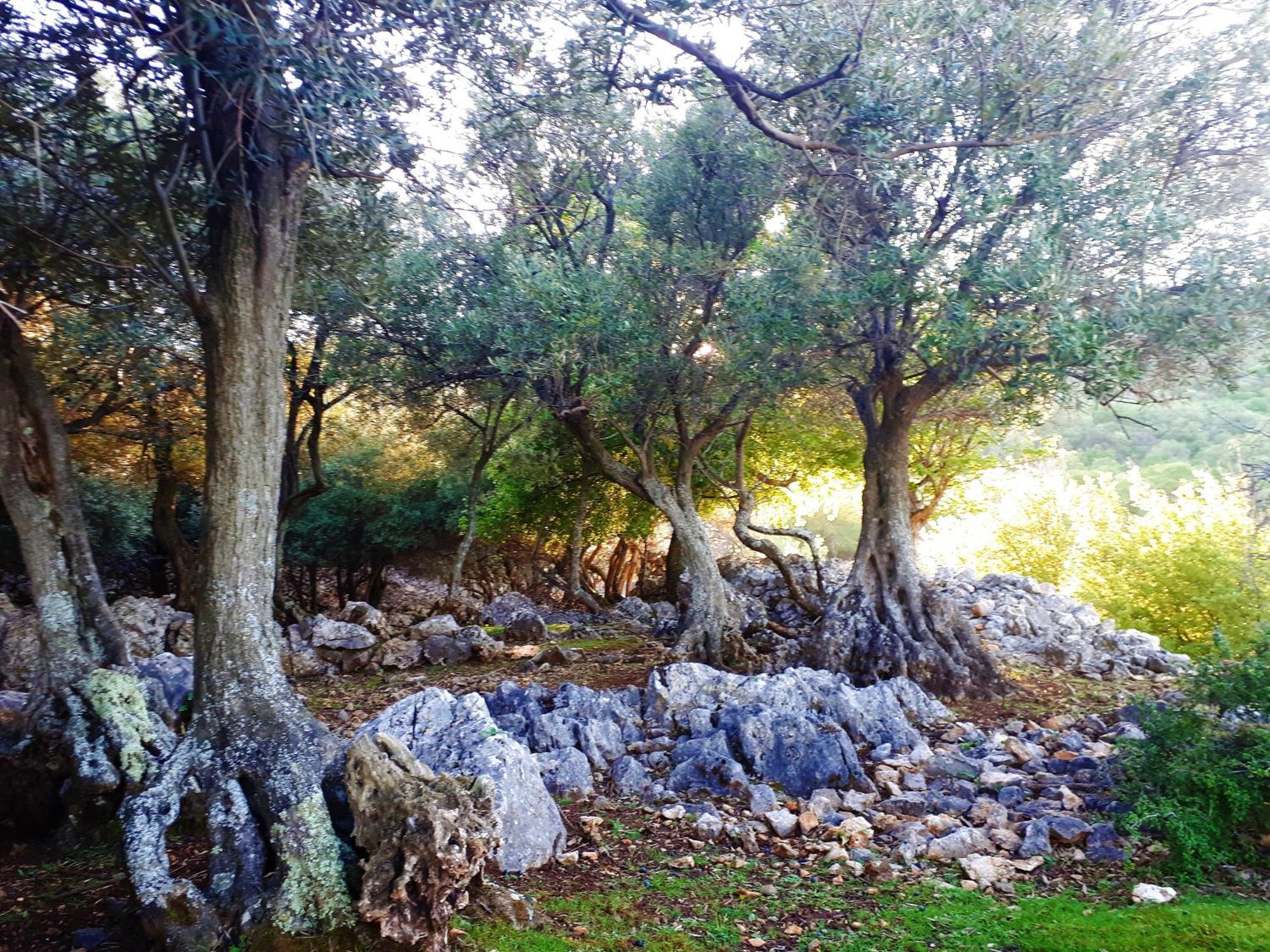 Pansion Tramontana Otel Beli Dış mekan fotoğraf