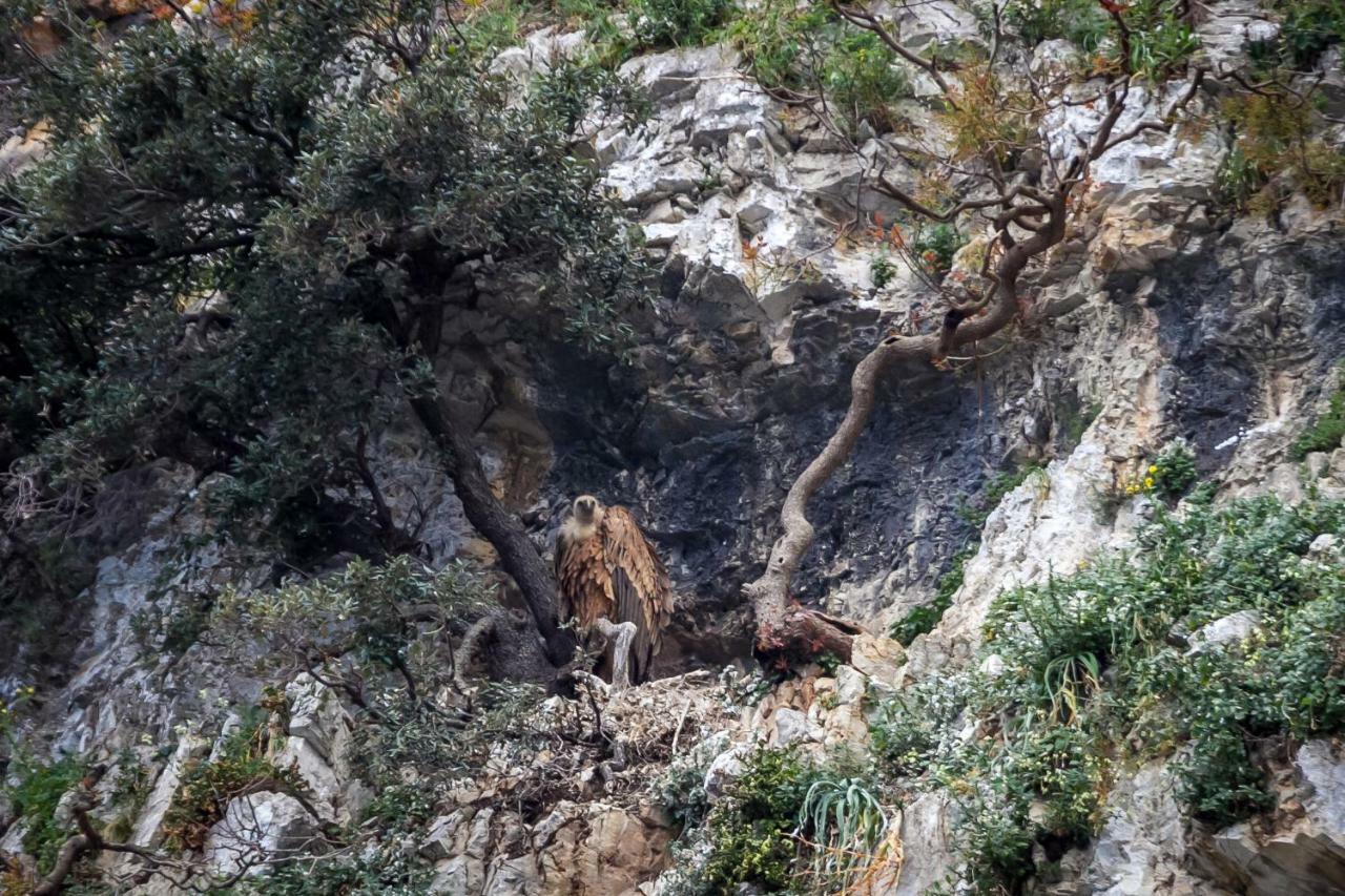 Pansion Tramontana Otel Beli Dış mekan fotoğraf